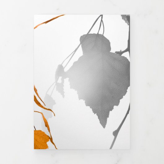 紅葉2 三つ折りクリスマスカード (カバー)