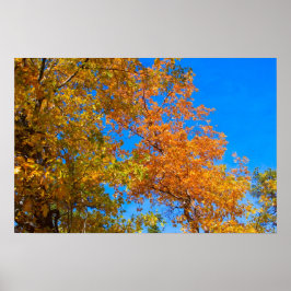 紅葉3ポスター ポスター