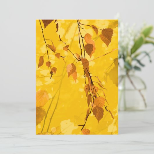 紅葉3 サンキューカード (スタンド正面)