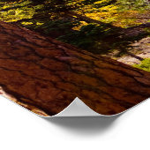 紅葉6ポスター ポスター (角)