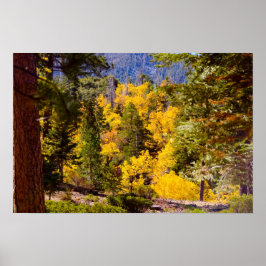 紅葉6ポスター ポスター