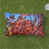 紅葉 アウトドアクッション (芝生)