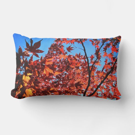 紅葉 アウトドアクッション (正面)