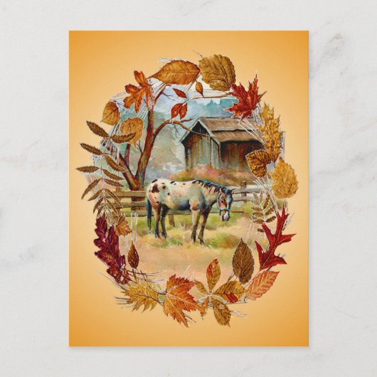 紅葉&アパロオサバイシャロンシャーペ ポストカード (正面)