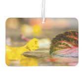 紅葉 カーエアーフレッシュナー (裏面)