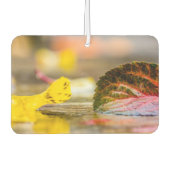 紅葉 カーエアーフレッシュナー (正面)