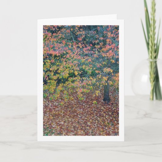 紅葉 カード (正面)