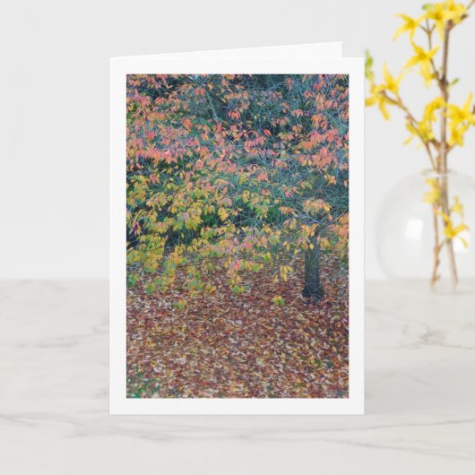 紅葉 カード (黄色い花)