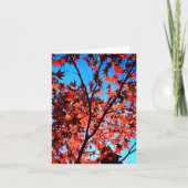 紅葉 カード (正面)