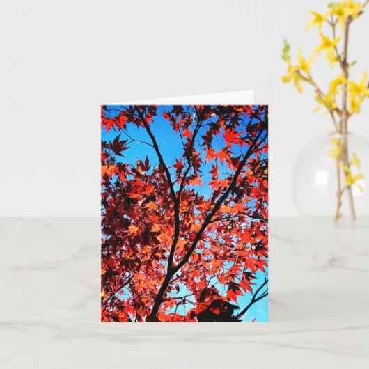 紅葉 カード (黄色い花)