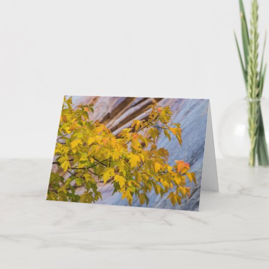 紅葉 カード (正面)