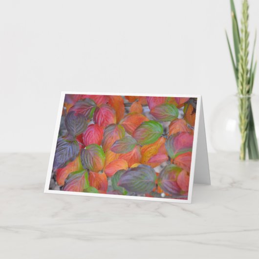 紅葉 カード (正面)