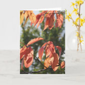 紅葉 カード (黄色い花)