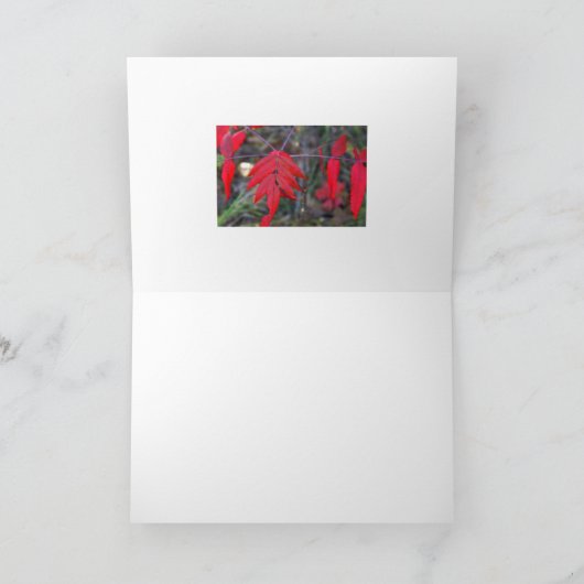紅葉 カード (内部)