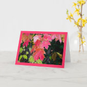 紅葉 カード (黄色い花)