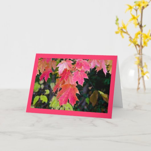 紅葉 カード (黄色い花)