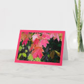 紅葉 カード (正面)