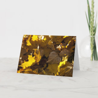 紅葉-カード シーズンカード