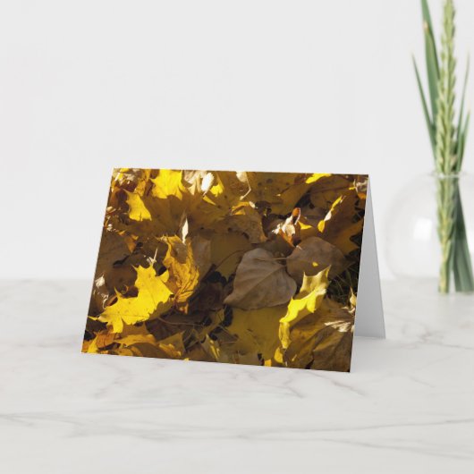 紅葉-カード シーズンカード (正面)