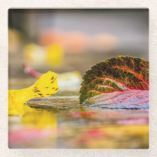 紅葉 ガラスコースター (正面)