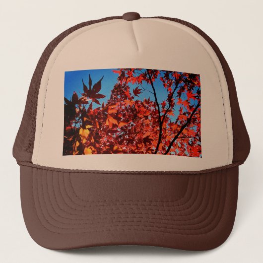 紅葉 キャップ (正面)