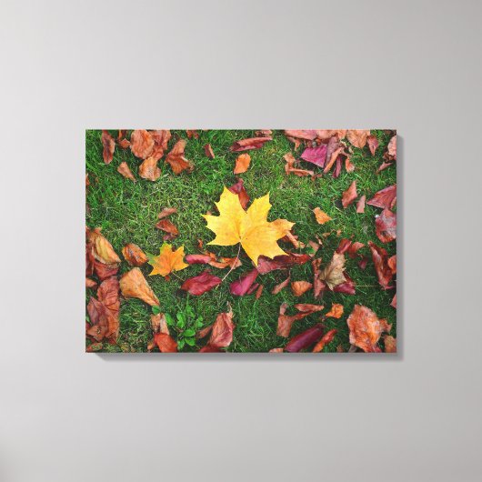紅葉 キャンバスプリント (正面)