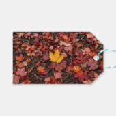 紅葉 ギフトタグ (正面(横))
