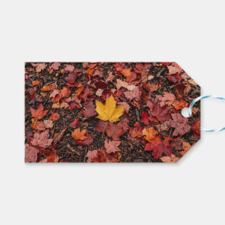 紅葉 ギフトタグ