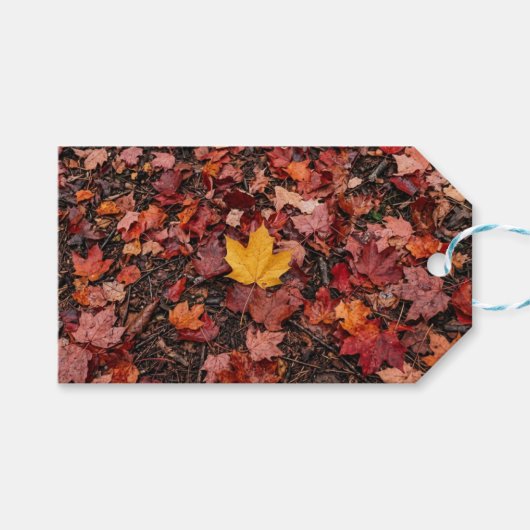 紅葉 ギフトタグ (正面(横))