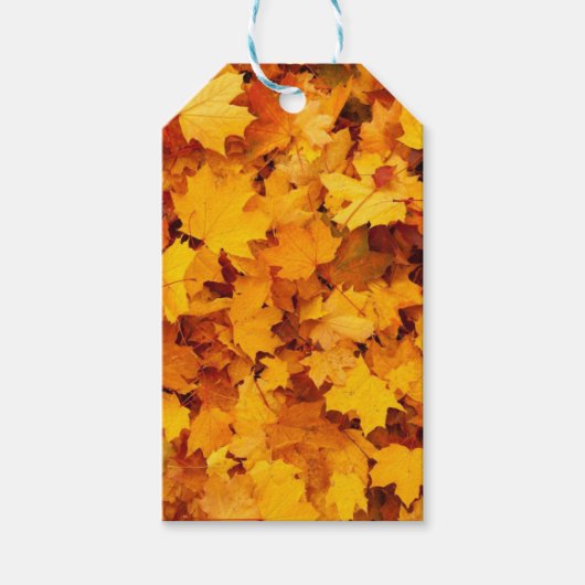 紅葉 ギフトタグ (正面)