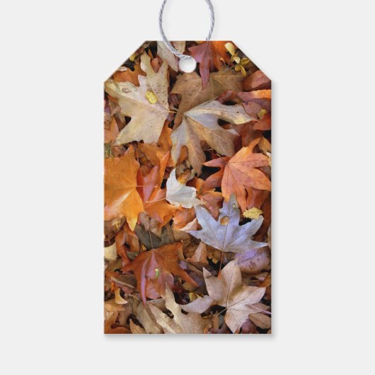 紅葉 ギフトタグ (正面)