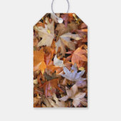 紅葉 ギフトタグ (裏面)