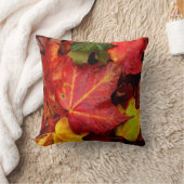 紅葉 クッション (ブランケット)