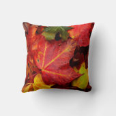 紅葉 クッション (裏面)