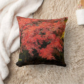 紅葉 クッション (ブランケット)