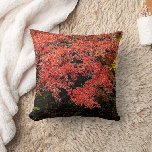 紅葉 クッション (ブランケット)