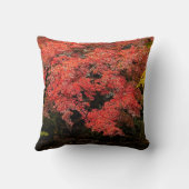 紅葉 クッション (裏面)