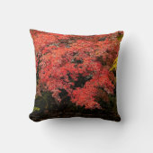 紅葉 クッション (正面)