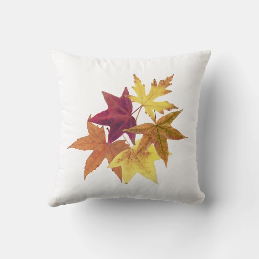 紅葉 クッション (裏面)