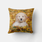 紅葉 クッション (裏面)