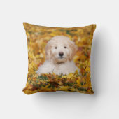 紅葉 クッション (正面)