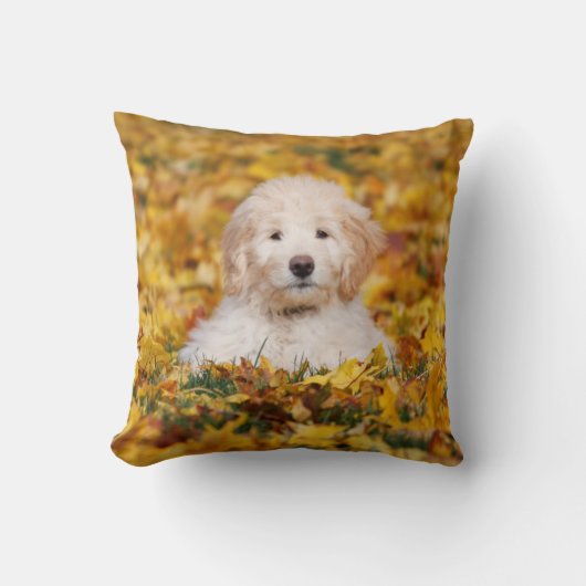 紅葉 クッション (正面)