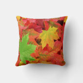 紅葉 クッション (裏面)