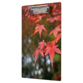 紅葉 クリップボード (左)