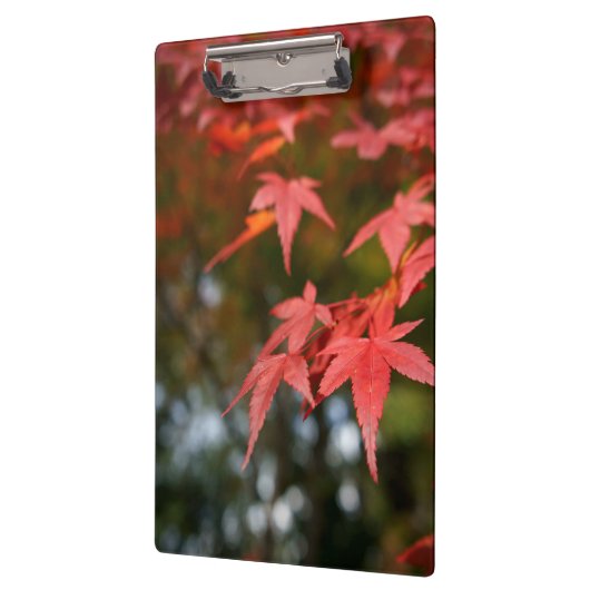 紅葉 クリップボード (左)
