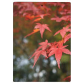 紅葉 クリップボード (裏面)