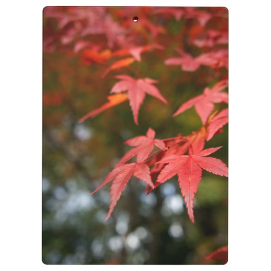 紅葉 クリップボード (裏面)
