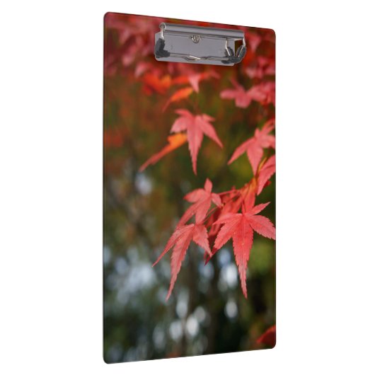 紅葉 クリップボード (右)