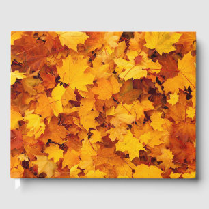 紅葉 ゲストブック