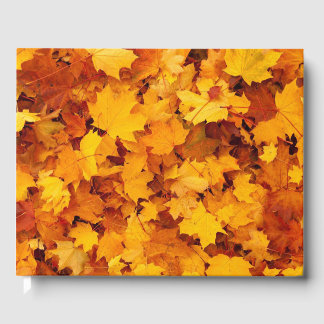 紅葉 ゲストブック